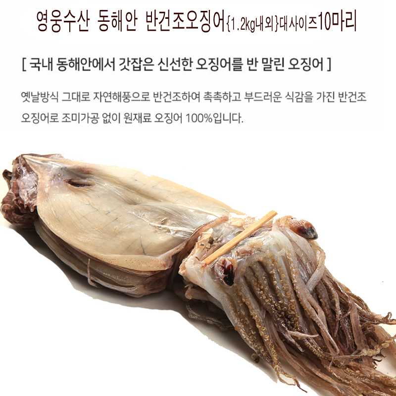 반건조오징어 (0)1kg  10마리.png