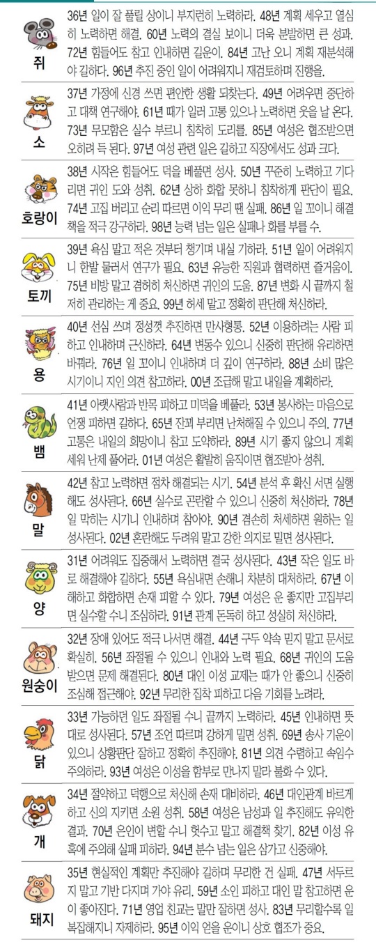 KakaoTalk_20250415_094511852.jpg