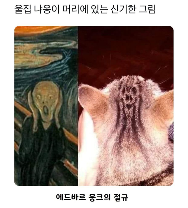 20250425_132926.png